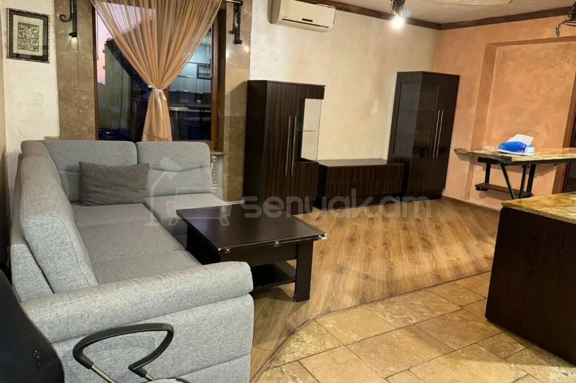 3 Սենյականոց Բնակարան, 58քմ, 3/9 հարկ, Կապիտալ Վերանորոգված, Կահավորված