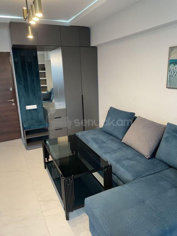 2 Սենյականոց Բնակարան, 50քմ, 11/12 հարկ, Կապիտալ Վերանորոգված, Կահավորված