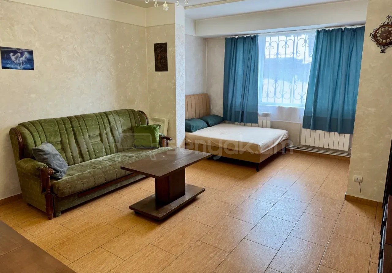 1 Սենյականոց Բնակարան Քարե Շենքում, 60քմ, 1/9 հարկ, Կապիտալ Վերանորոգված, Կահավորված