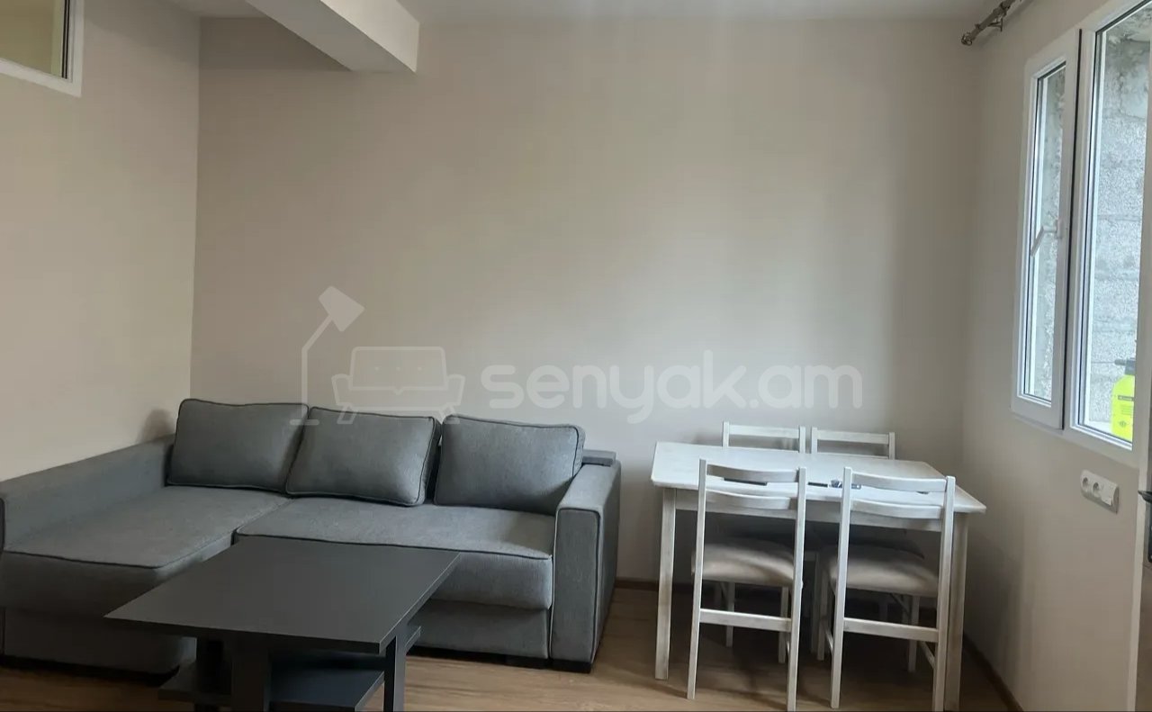 3 Սենյականոց Բնակարան Քարե Շենքում, 68քմ, 1/1 հարկ, Կապիտալ Վերանորոգված, Կահավորված