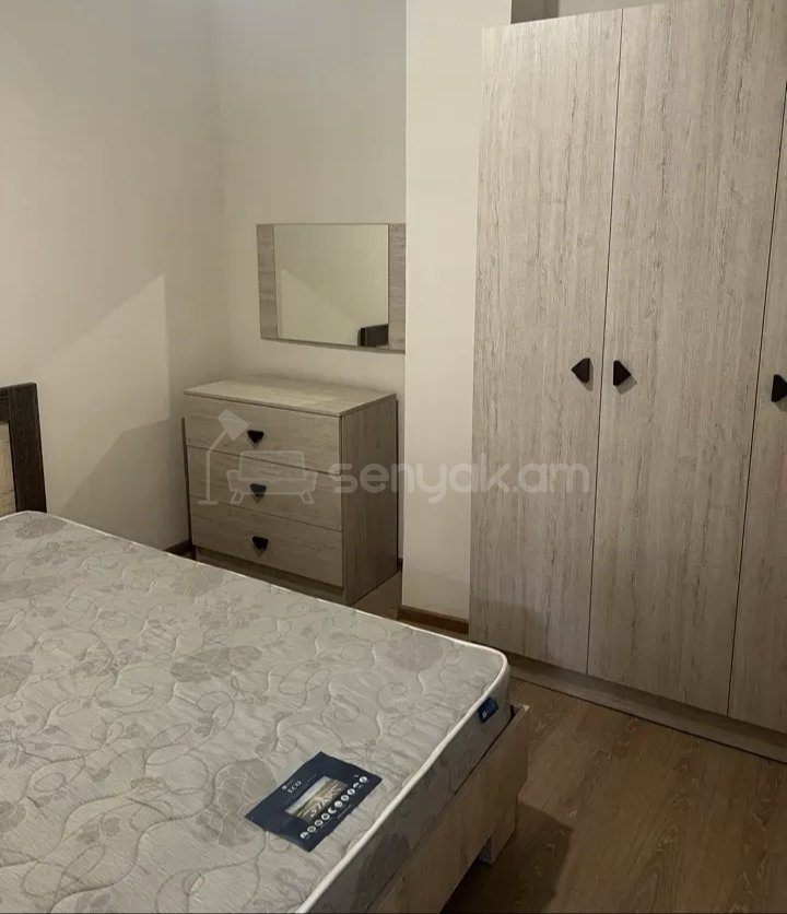 3 Սենյականոց Բնակարան Քարե Շենքում, 68քմ, 1/1 հարկ, Կապիտալ Վերանորոգված, Կահավորված