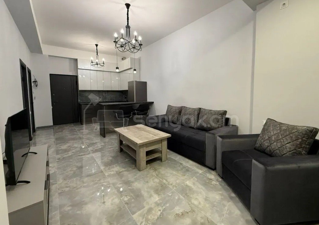 2 Սենյականոց Բնակարան Նորակառույցում, 46քմ, 2/4 հարկ, Կապիտալ Վերանորոգված, Կահավորված, Արևկող