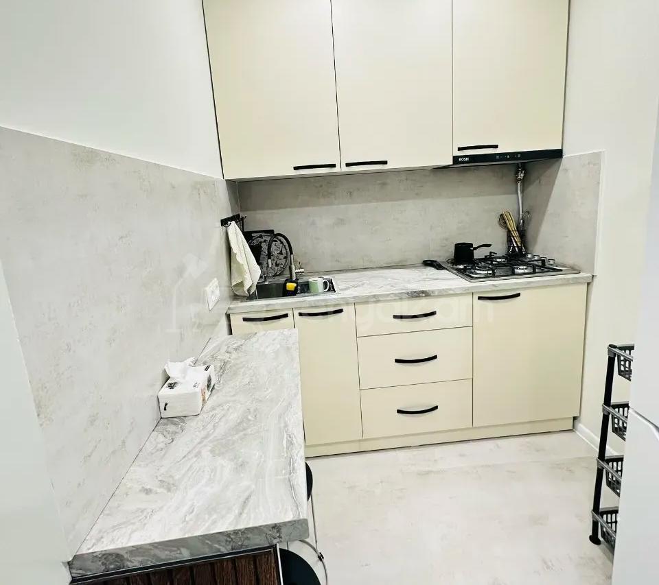 2 Սենյականոց Բնակարան, 46քմ, 13/14 հարկ, Կապիտալ Վերանորոգված, Կահավորված, Արևկող