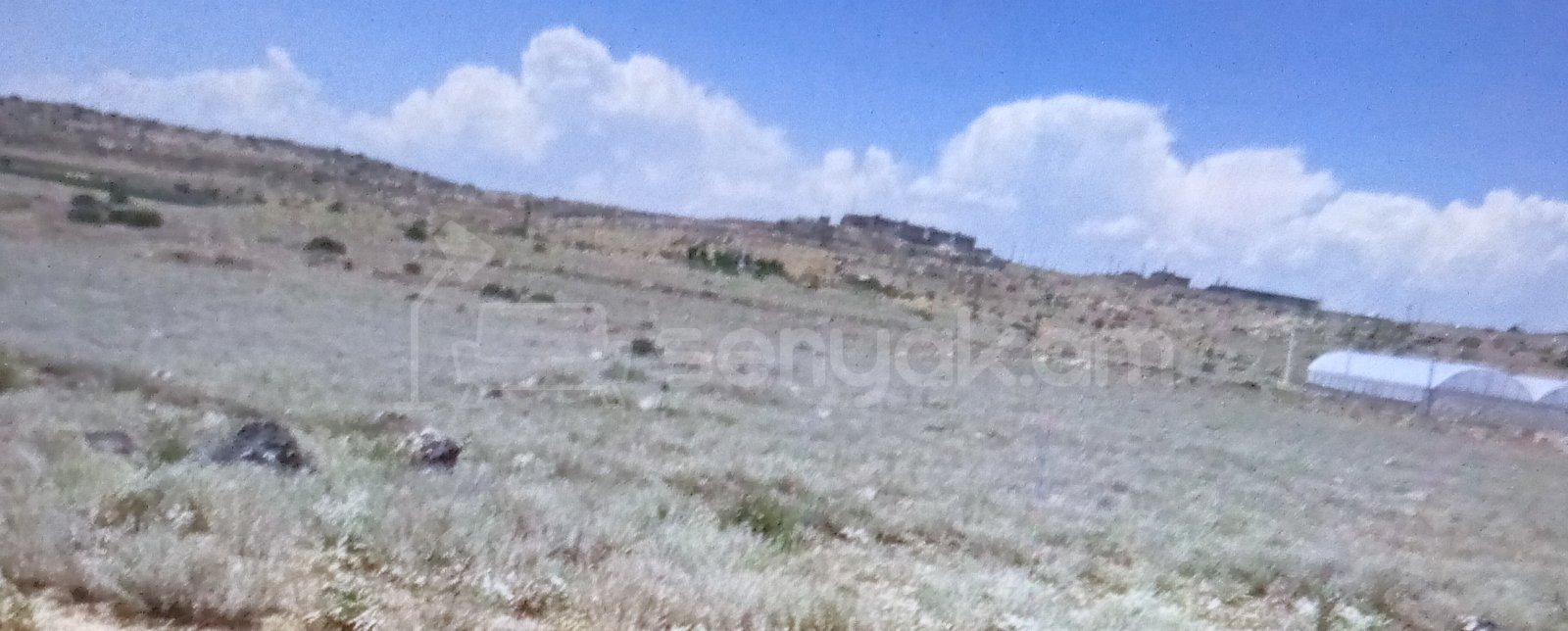 Հողամաս, 1660քմ, Ոռոգման Ջրով, Էլեկտրականությամբ