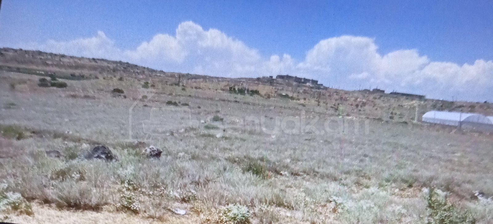 Հողամաս, 1660քմ, Ոռոգման Ջրով, Էլեկտրականությամբ