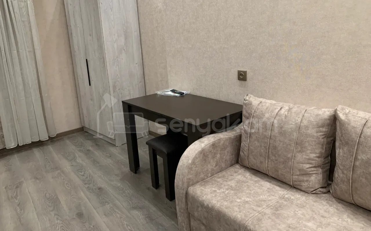 1 Սենյականոց Բնակարան Քարե Շենքում, 42քմ, 1/1 հարկ, Կապիտալ Վերանորոգված, Կահավորված