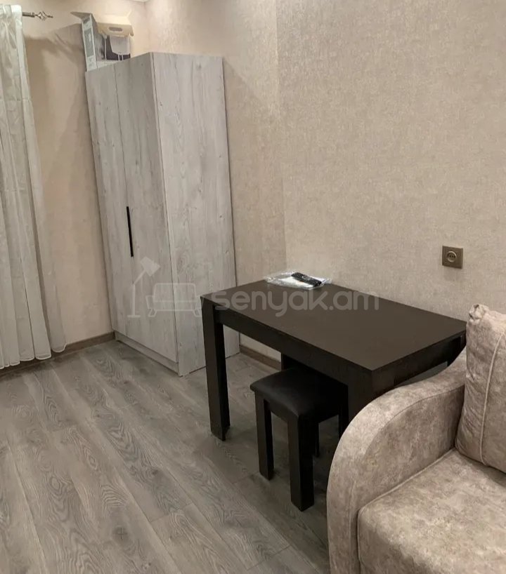 1 Սենյականոց Բնակարան Քարե Շենքում, 42քմ, 1/1 հարկ, Կապիտալ Վերանորոգված, Կահավորված