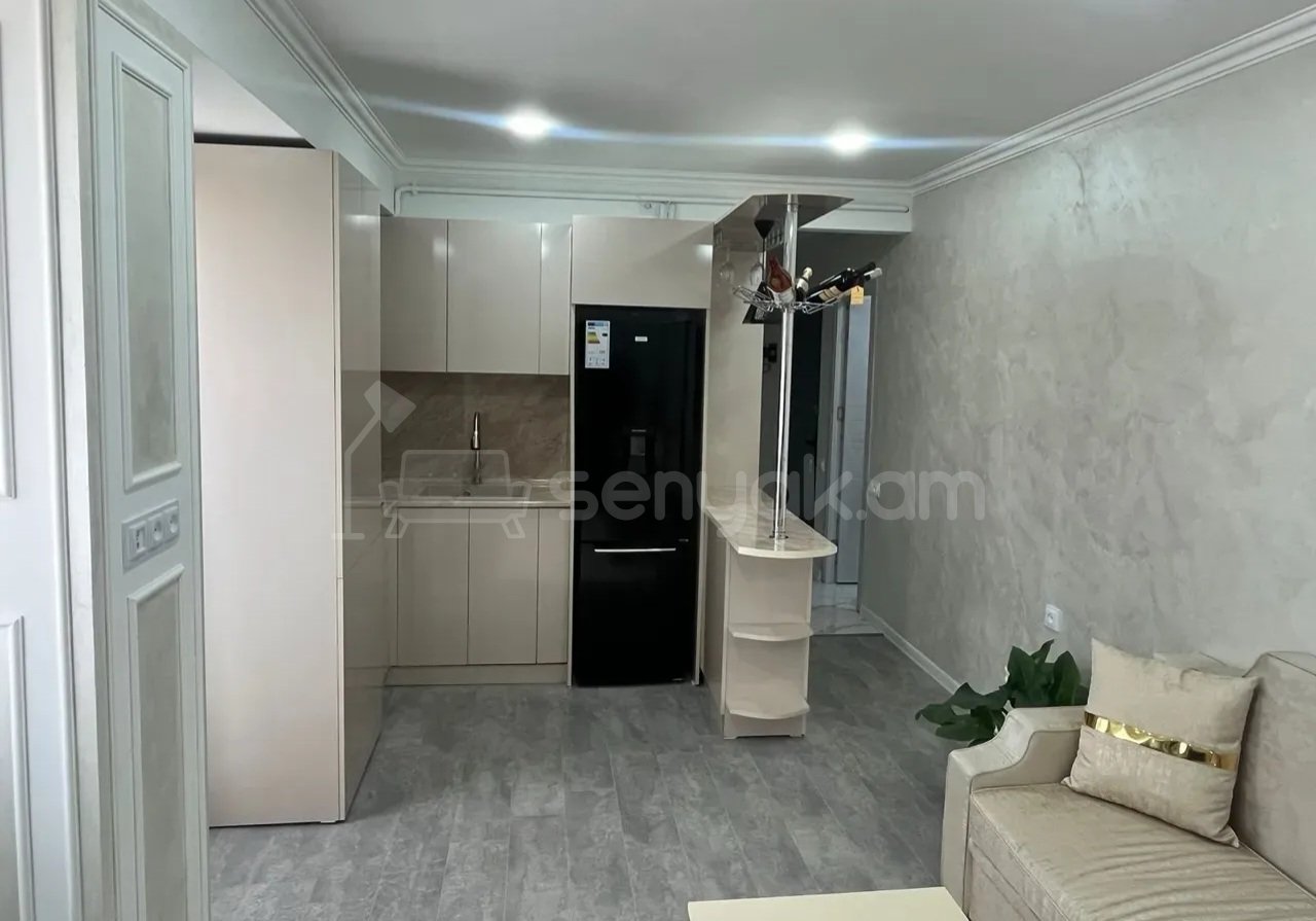 1 Սենյականոց Բնակարան, 36քմ, 9/9 հարկ, Կապիտալ Վերանորոգված
