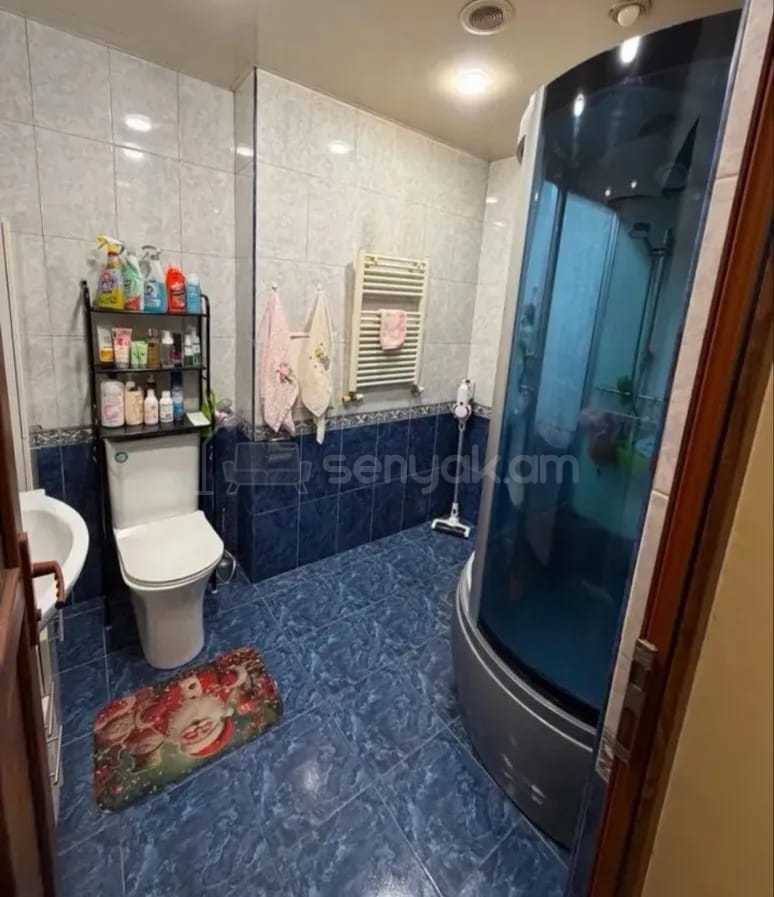 3 Սենյականոց Բնակարան, 69քմ, 9/9 հարկ, Կապիտալ Վերանորոգված