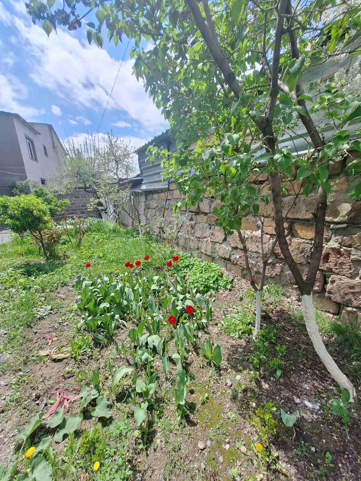 3 Սենյականոց Սեփական Տուն, 100քմ, Նորմալ Վիճակում, Կահավորված