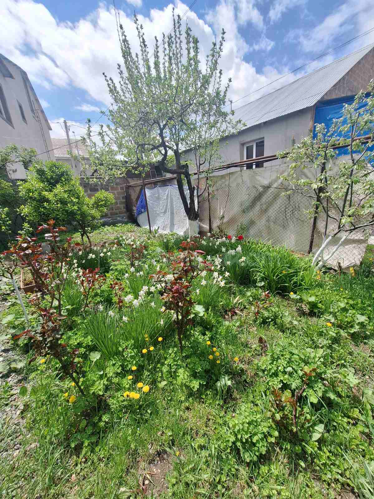 3 Սենյականոց Սեփական Տուն, 100քմ, Նորմալ Վիճակում, Կահավորված