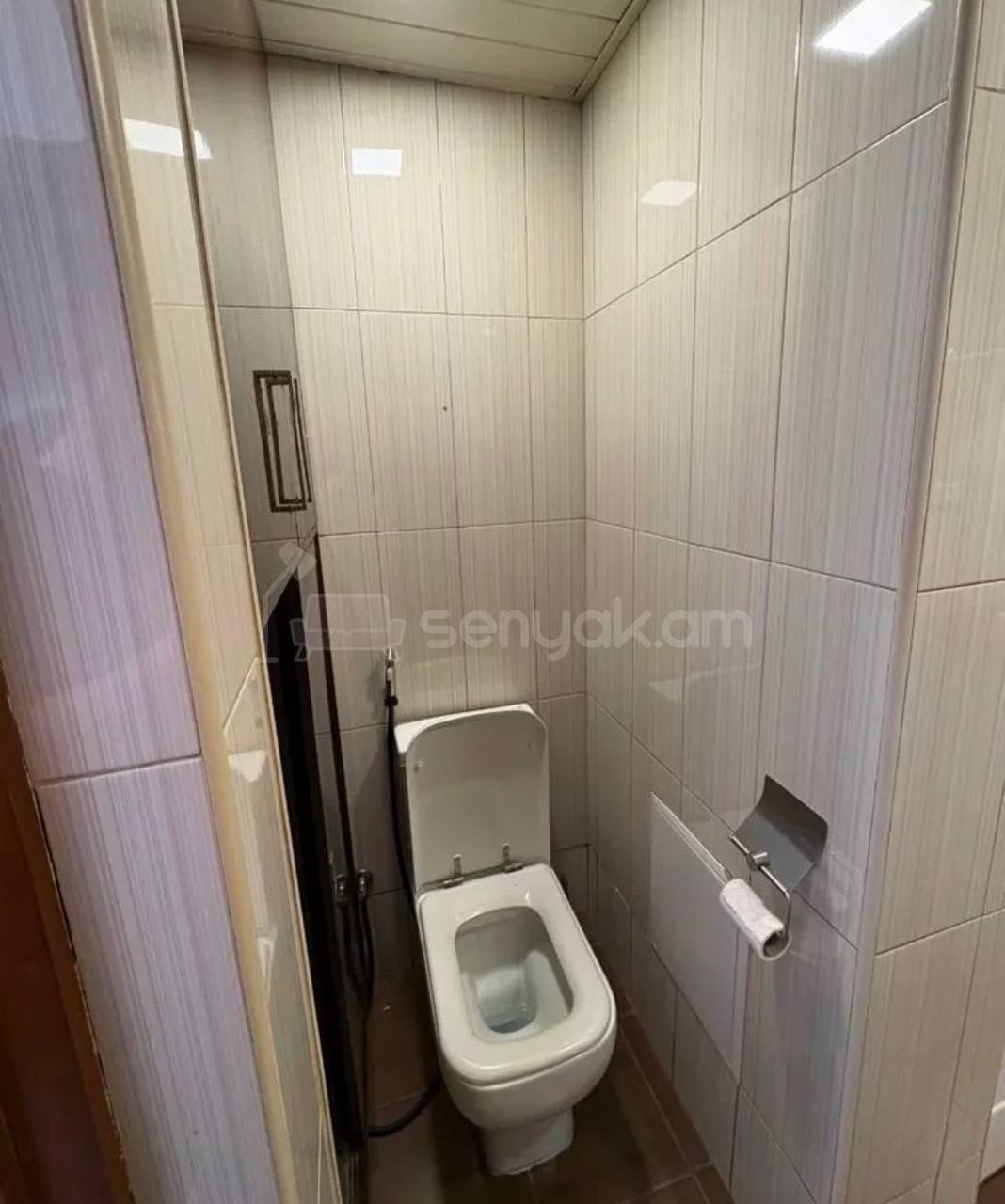 3 Սենյականոց Բնակարան, 67քմ, 4/9 հարկ, Կապիտալ Վերանորոգված, Կահավորված