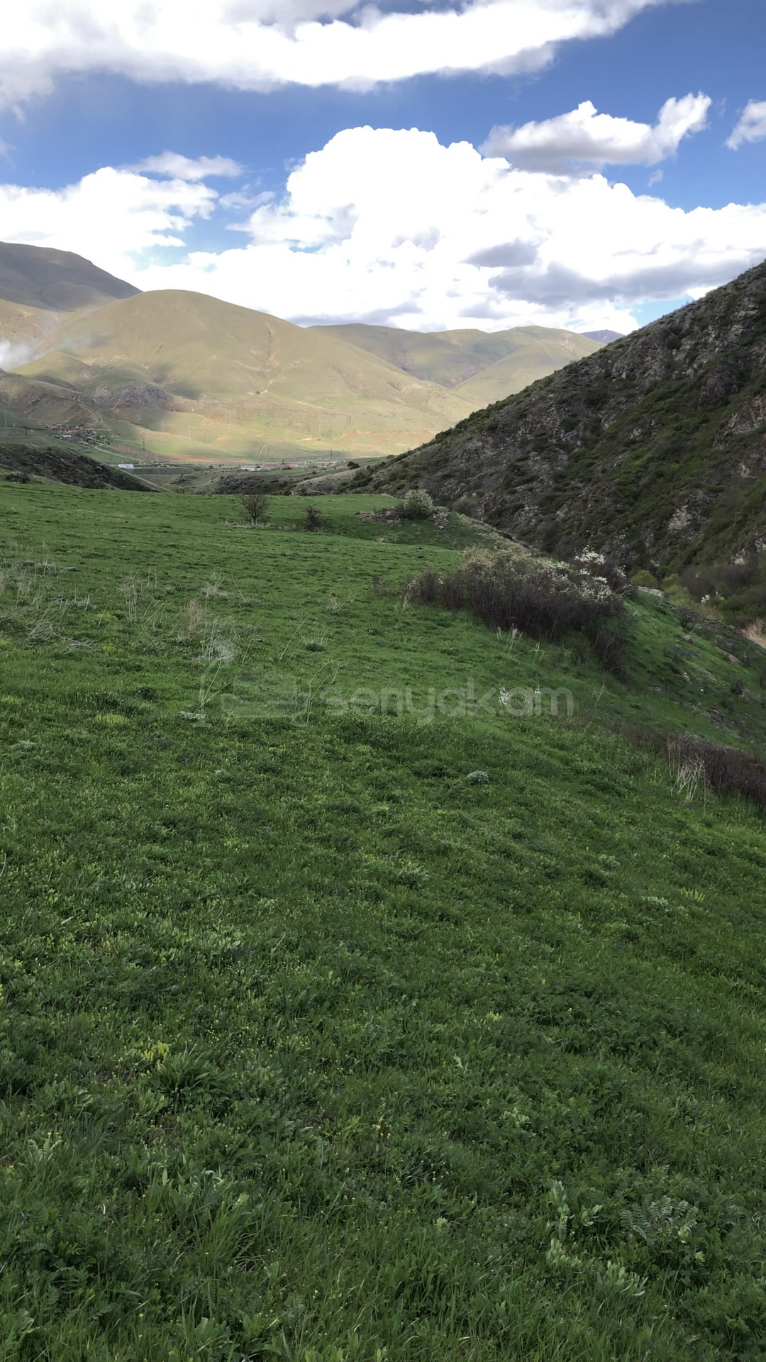Հողամաս, 1000քմ