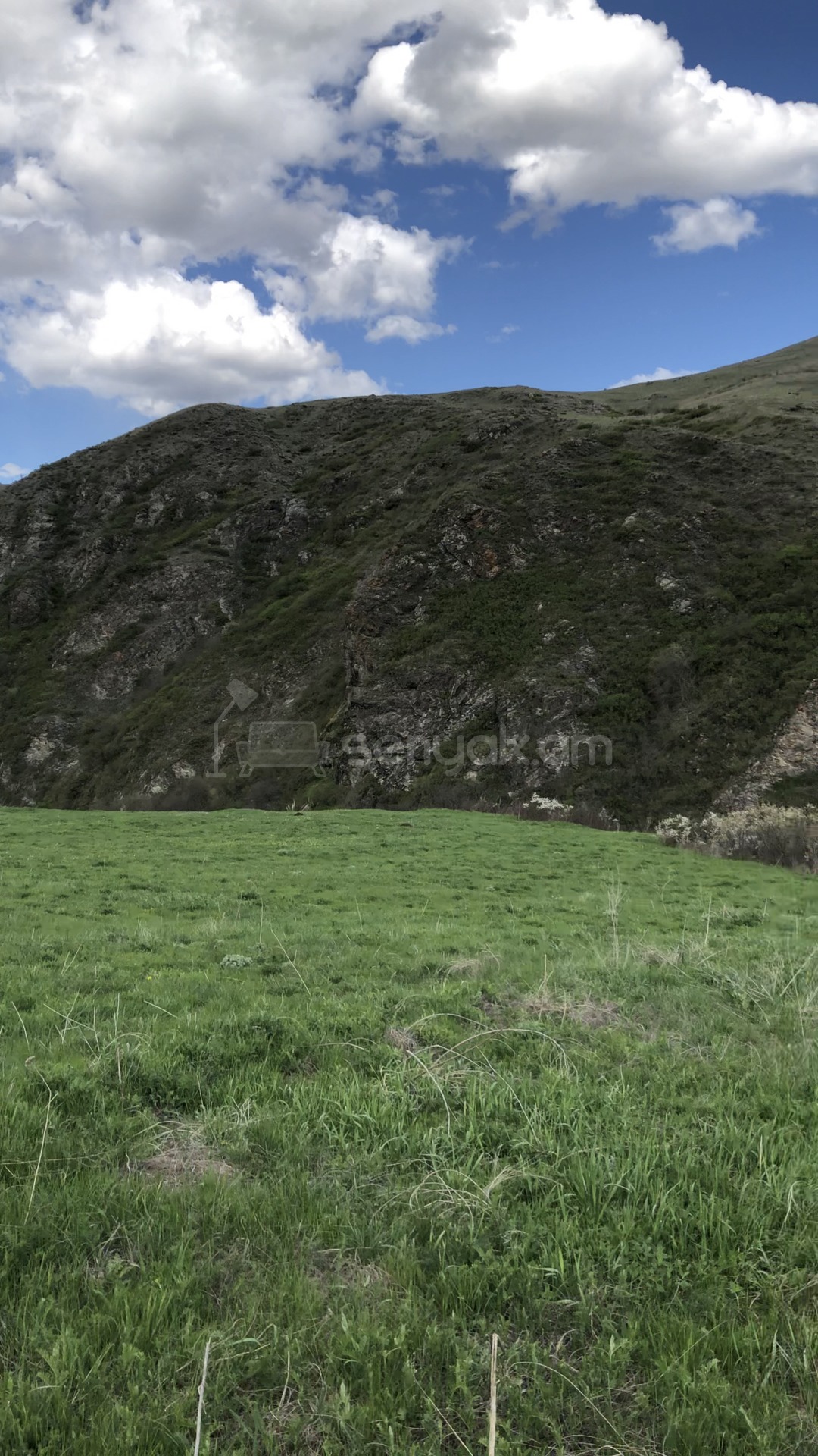 Հողամաս, 1000քմ
