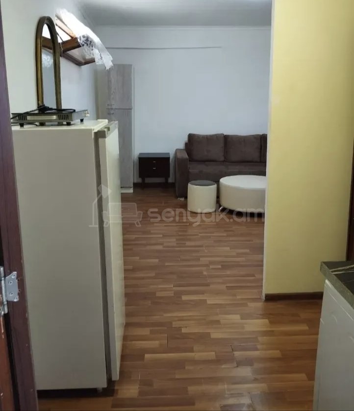 1 Սենյականոց Բնակարան Քարե Շենքում, 35քմ, 1/1 հարկ, Նորմալ Վիճակում, Կահավորված