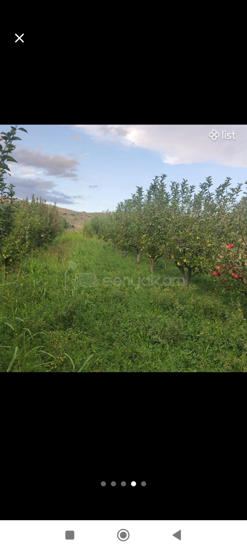 Հողատարածք, 2300քմ, Ոռոգման Ջրով, Էլեկտրականությամբ, Ցանկապատված