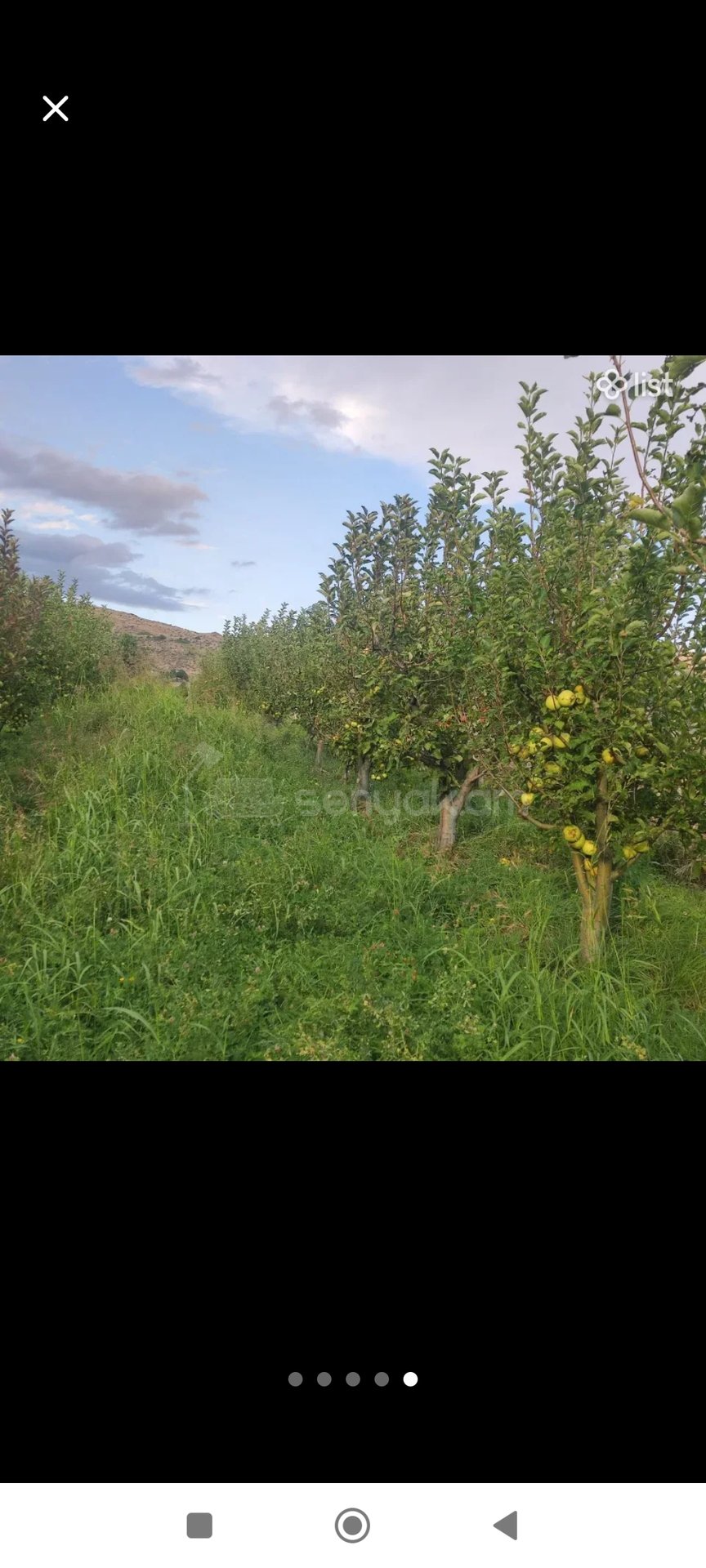 Հողատարածք, 2300քմ, Ոռոգման Ջրով, Էլեկտրականությամբ, Ցանկապատված