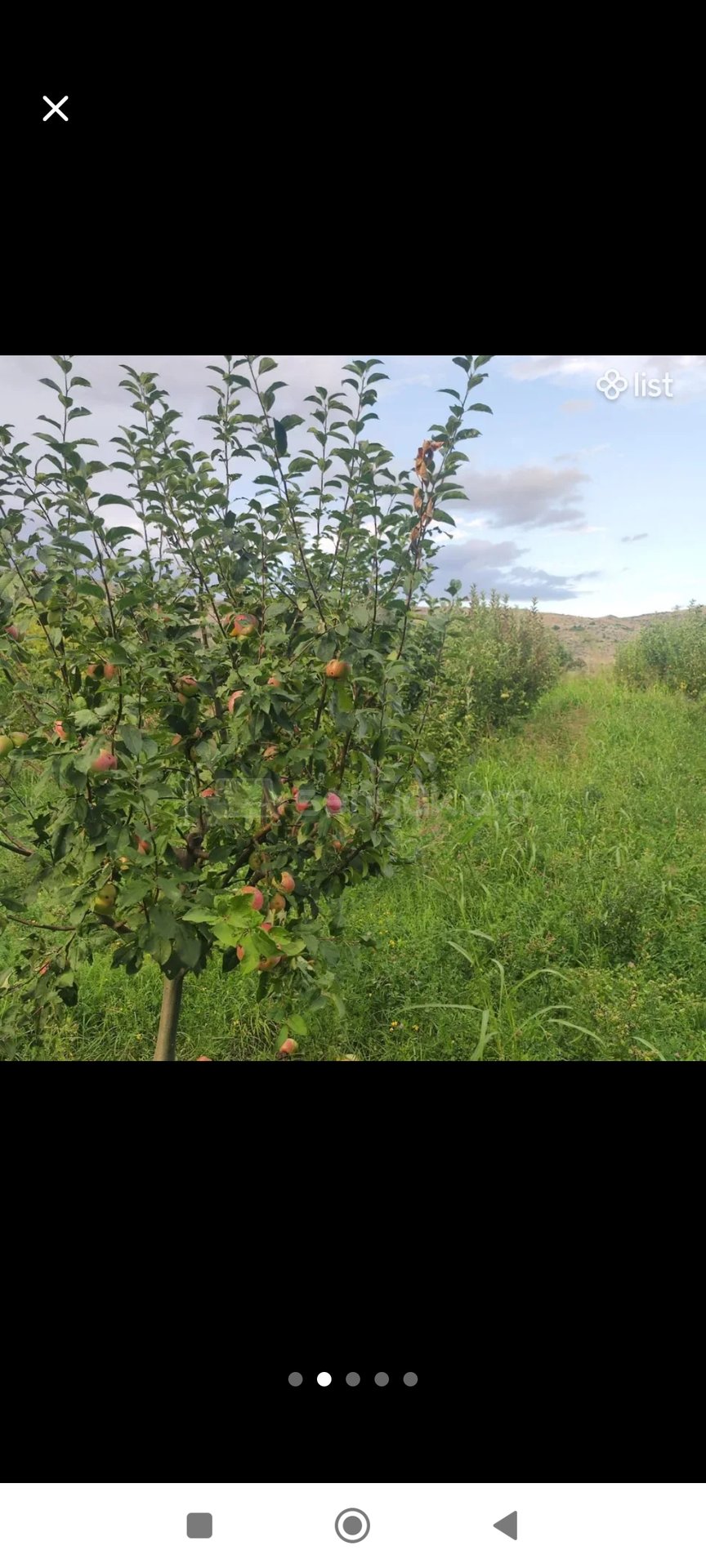 Հողատարածք, 2300քմ, Ոռոգման Ջրով, Էլեկտրականությամբ, Ցանկապատված