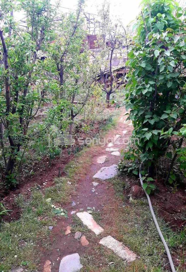 4 Սենյականոց Սեփական Տուն, 100քմ, Կոսմետիկ Վերանորոգված, Ավտոտնակով