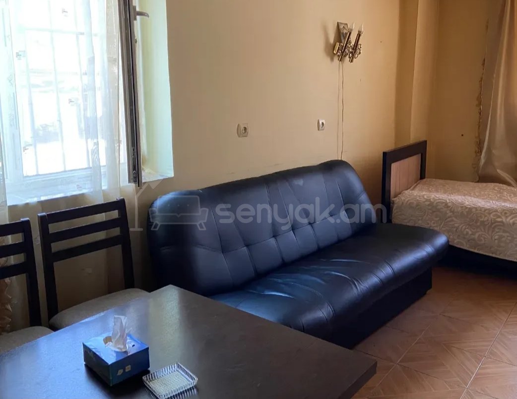 1 Սենյականոց Բնակարան Քարե Շենքում, 40քմ, 1/1 հարկ, Նորմալ Վիճակում, Կահավորված