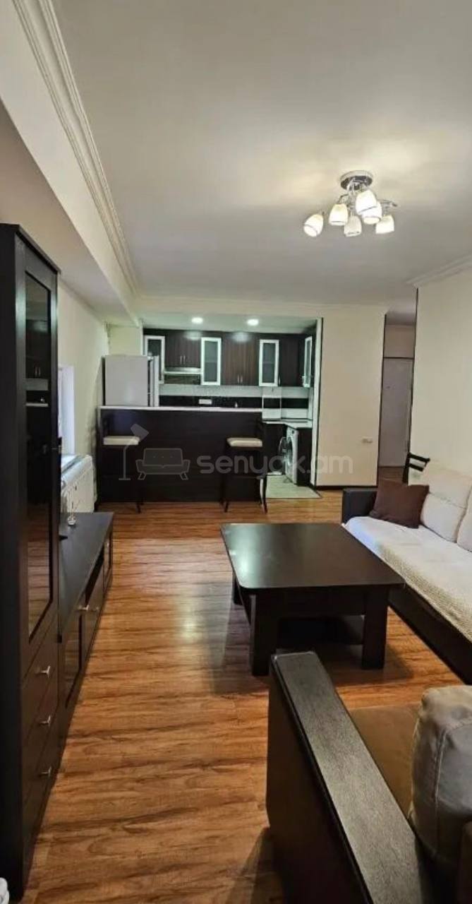 2 Սենյականոց Բնակարան, 45քմ, 1/9 հարկ, Կապիտալ Վերանորոգված, Կահավորված