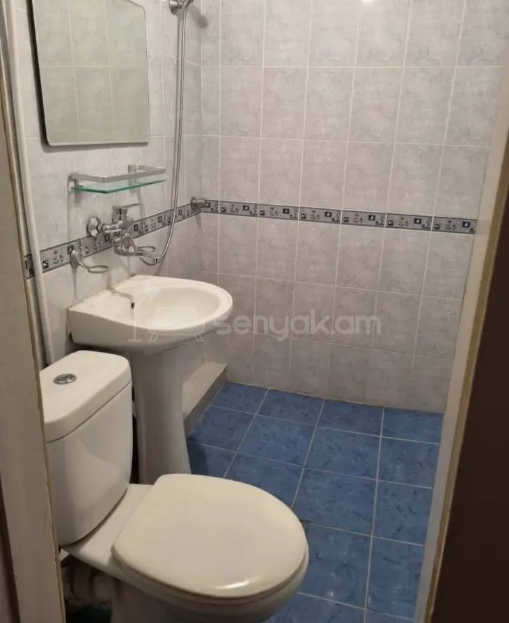 1 Սենյականոց Բնակարան Քարե Շենքում, 33քմ, 4/5 հարկ, Կապիտալ Վերանորոգված, Կահավորված