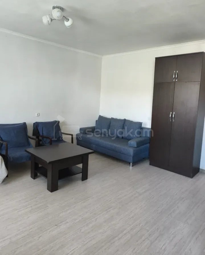 1 Սենյականոց Բնակարան Քարե Շենքում, 33քմ, 4/5 հարկ, Կապիտալ Վերանորոգված, Կահավորված