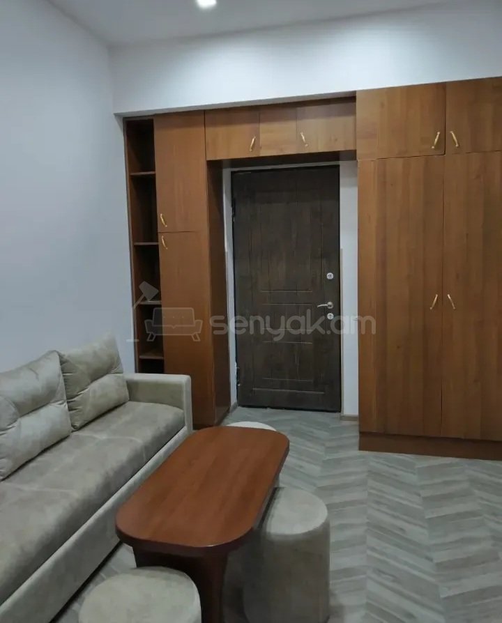 3 Սենյականոց Բնակարան Նորակառույց Քարե Շենքում, 56քմ, 14/14 հարկ, Դիզայներական Վերանորոգված, Կահավորված