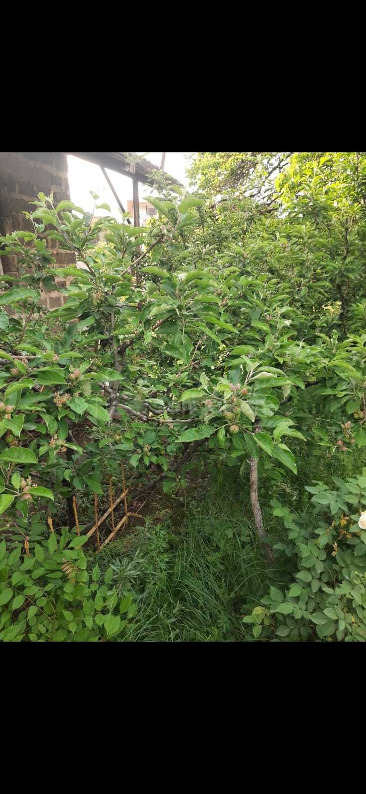 5 Սենյականոց Սեփական Տուն, 300քմ, Կապիտալ Վերանորոգված, Ավտոտնակով
