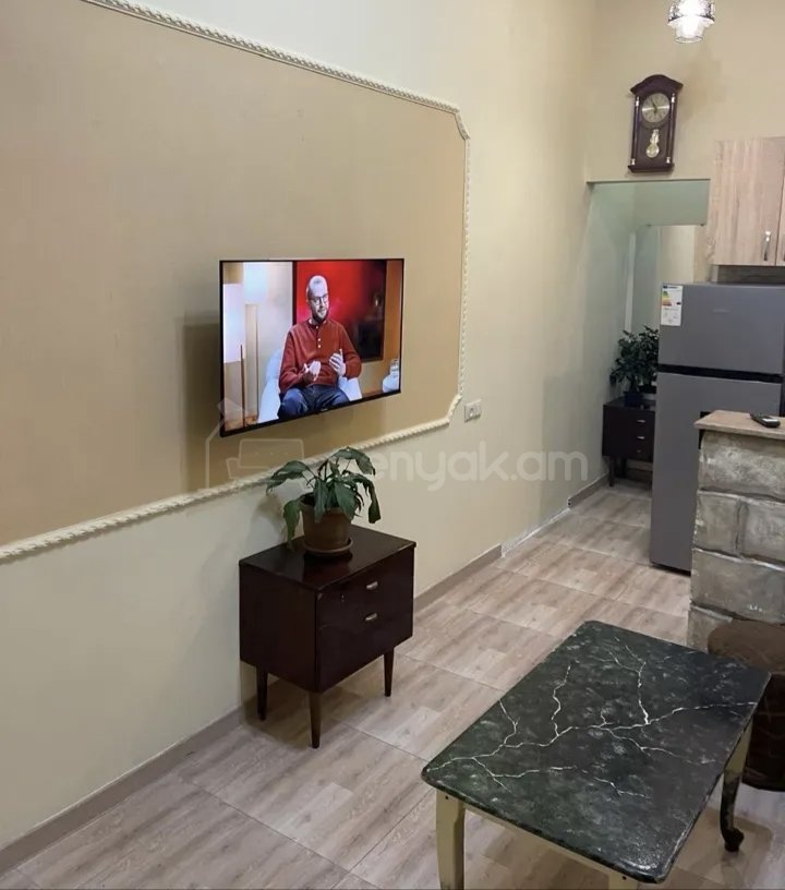 2 Սենյականոց Բնակարան Քարե Շենքում, 45քմ, 1/1 հարկ, Կապիտալ Վերանորոգված, Կահավորված