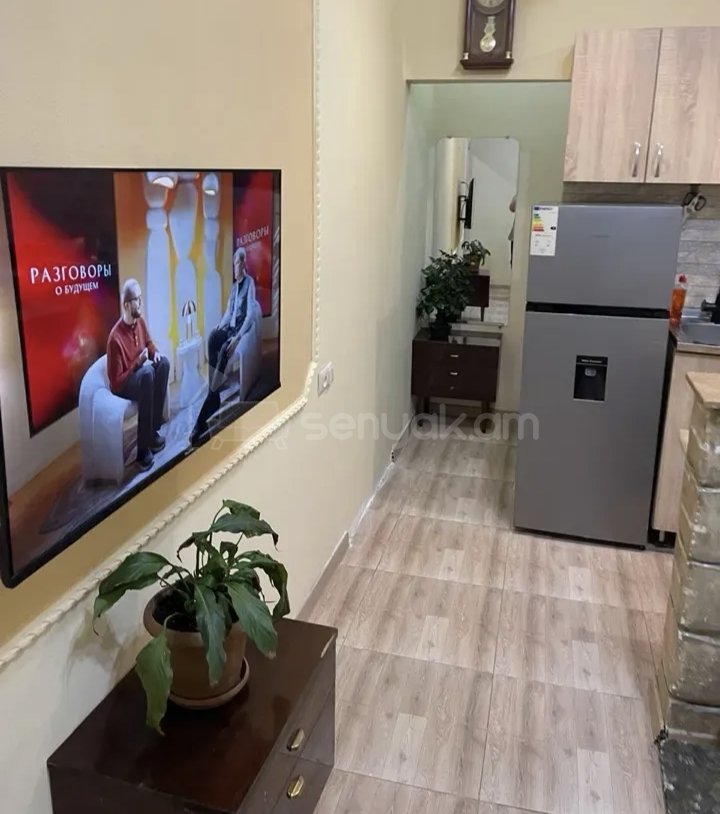 2 Սենյականոց Բնակարան Քարե Շենքում, 45քմ, 1/1 հարկ, Կապիտալ Վերանորոգված, Կահավորված