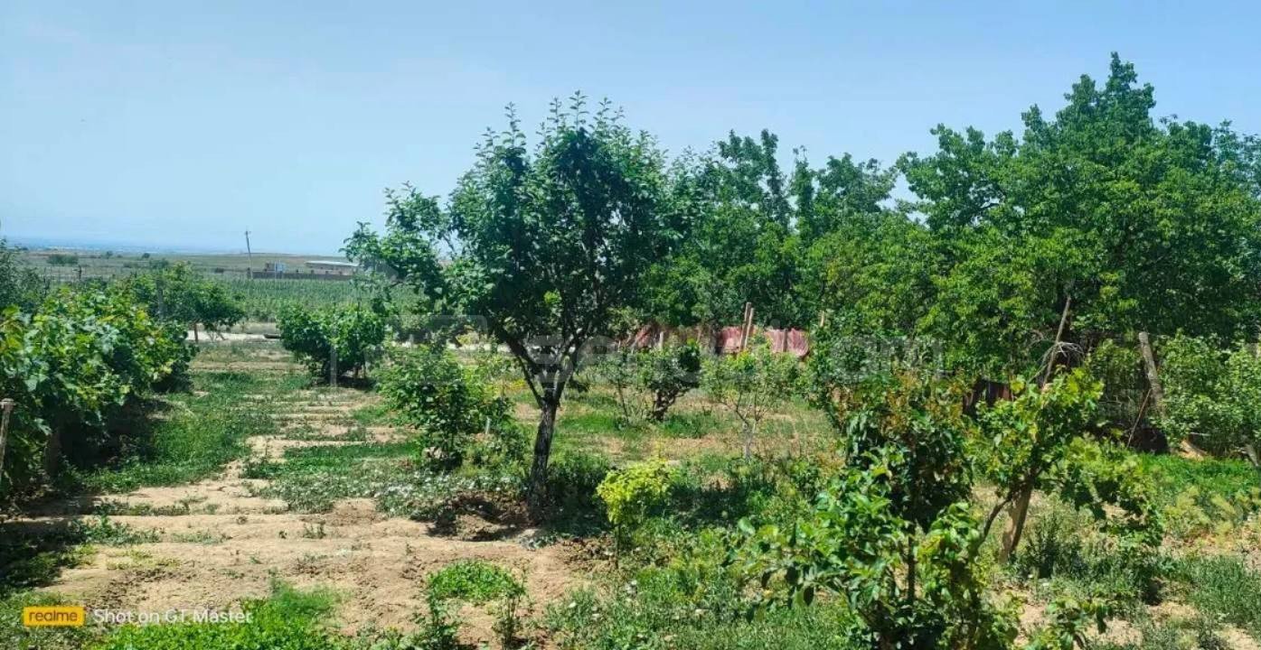 Հողամաս, 720քմ, Ոռոգման Ջրով, Էլեկտրականությամբ
