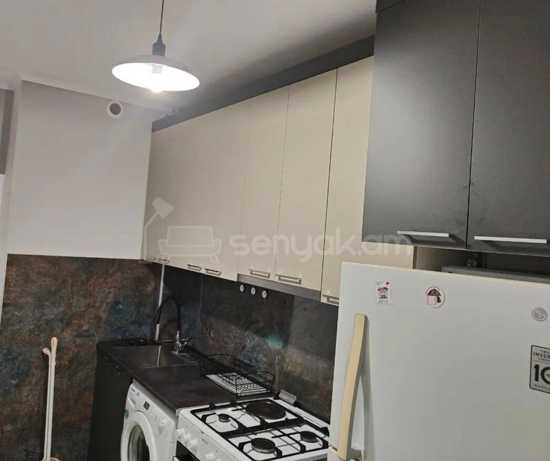 2 Սենյականոց Բնակարան, 46քմ, 3/9 հարկ, Կապիտալ Վերանորոգված