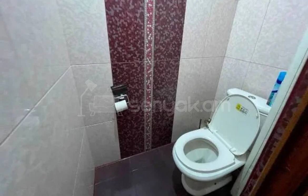 3 Սենյականոց Բնակարան, 96քմ, 2/9 հարկ, Կապիտալ Վերանորոգված, Կահավորված