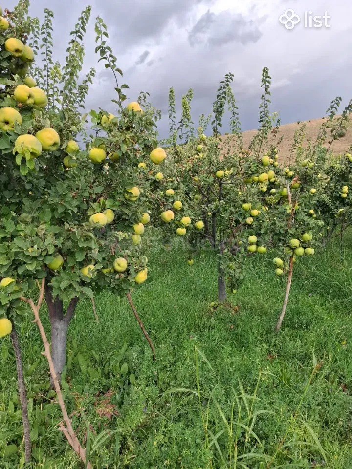 Հողամաս, 7000քմ, Ոռոգման Ջրով