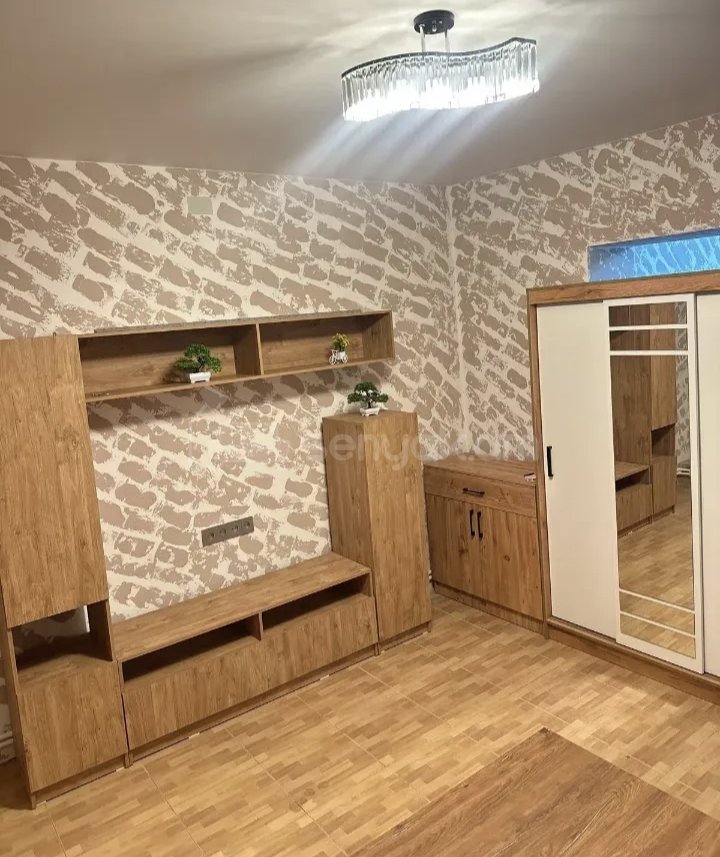 1 Սենյականոց Բնակարան Քարե Շենքում, 48քմ, 1/1 հարկ, Կապիտալ Վերանորոգված, Կահավորված