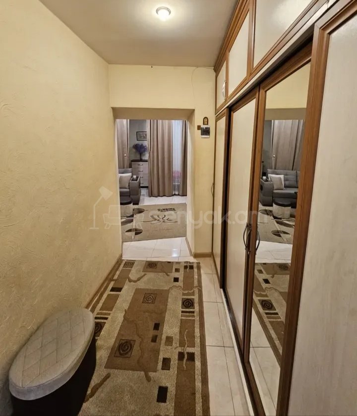 1 Սենյականոց Բնակարան Քարե Շենքում, 46քմ, 1/1 հարկ, Կապիտալ Վերանորոգված, Կահավորված