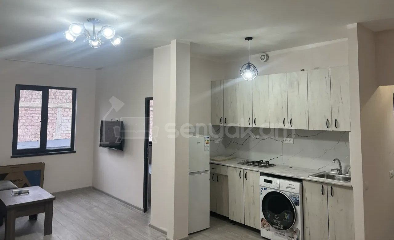 2 Սենյականոց Բնակարան Քարե Շենքում, 47քմ, 1/1 հարկ, Նորմալ Վիճակում, Կահավորված