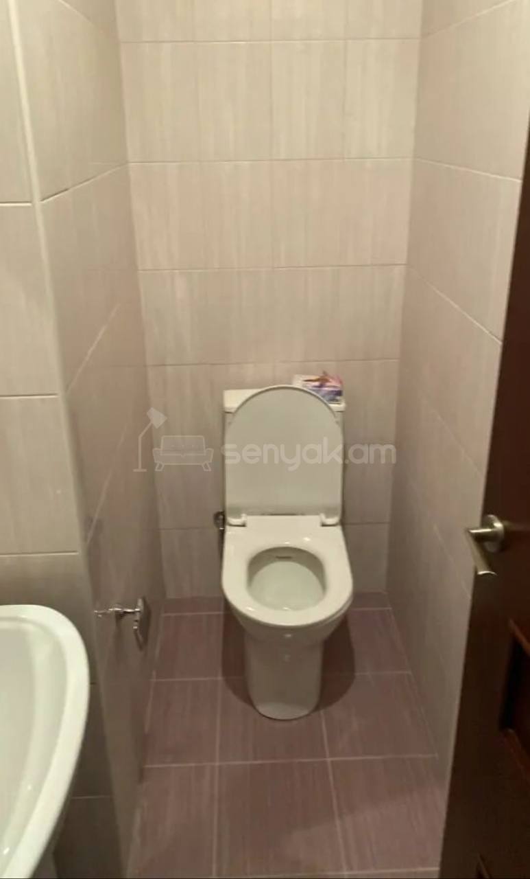 3 Սենյականոց Բնակարան, 93քմ, 6/15 հարկ, Կապիտալ Վերանորոգված, Կահավորված