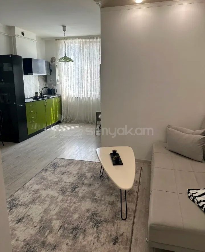 2 Սենյականոց Բնակարան Նորակառույցում, 33քմ, 2/11 հարկ, Կապիտալ Վերանորոգված