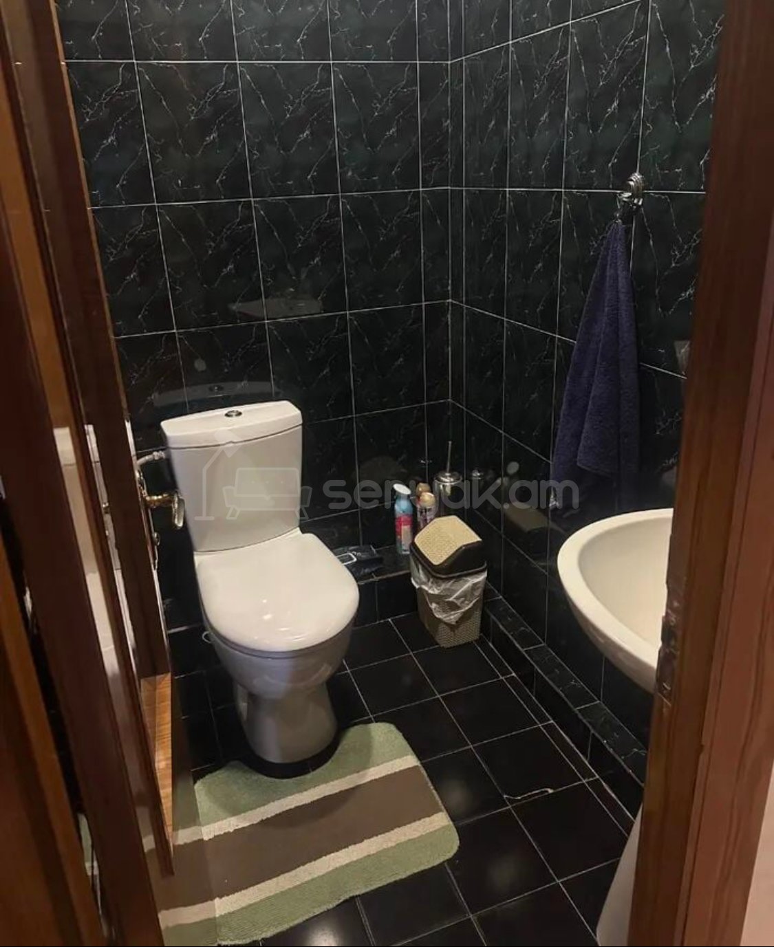 3 Սենյականոց Բնակարան, 77քմ, 4/9 հարկ, Նորմալ Վիճակում, Կահավորված
