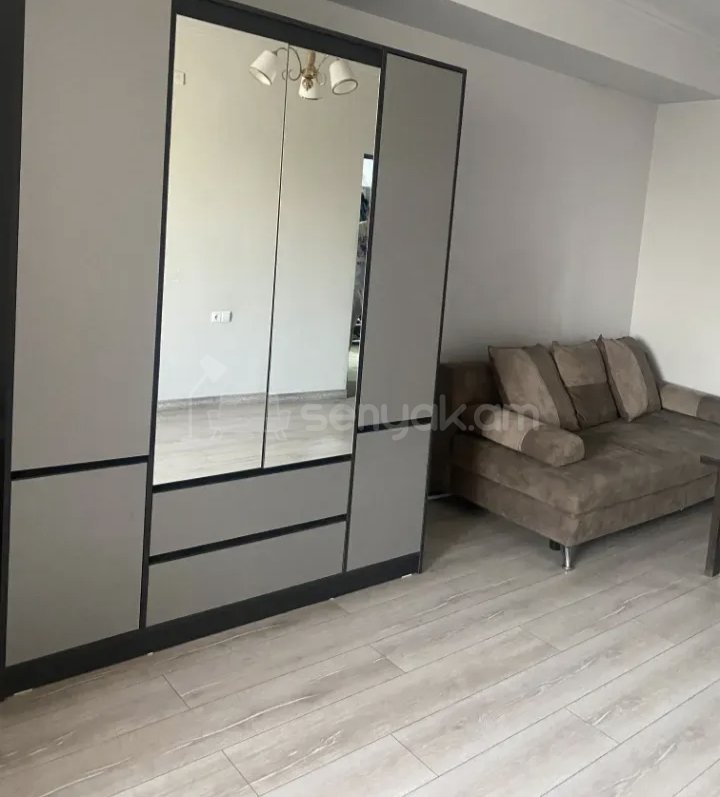 1 Սենյականոց Բնակարան Քարե Շենքում, 56քմ, 3/9 հարկ, Նորմալ Վիճակում, Կահավորված, Արևկող