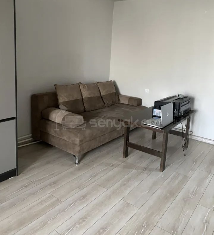 1 Սենյականոց Բնակարան Քարե Շենքում, 56քմ, 3/9 հարկ, Նորմալ Վիճակում, Կահավորված, Արևկող