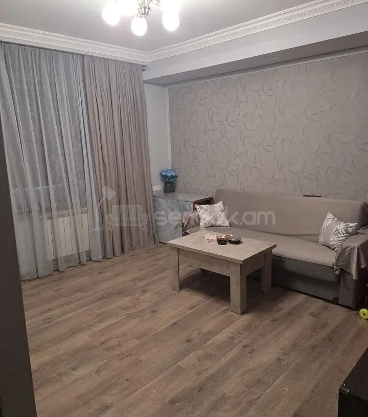 2 Սենյականոց Բնակարան, 56քմ, 3/9 հարկ, Կապիտալ Վերանորոգված