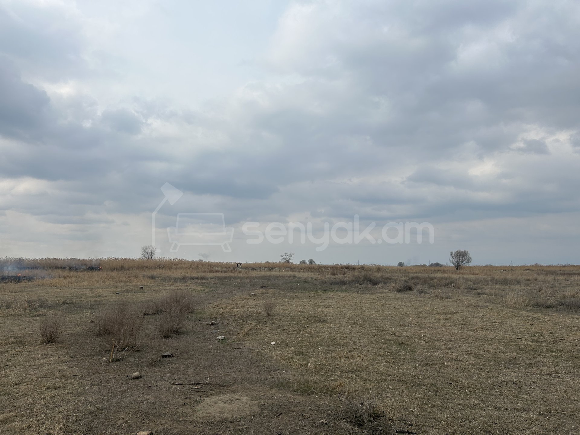 Այգի, 3700քմ, Ոռոգման Ջրով