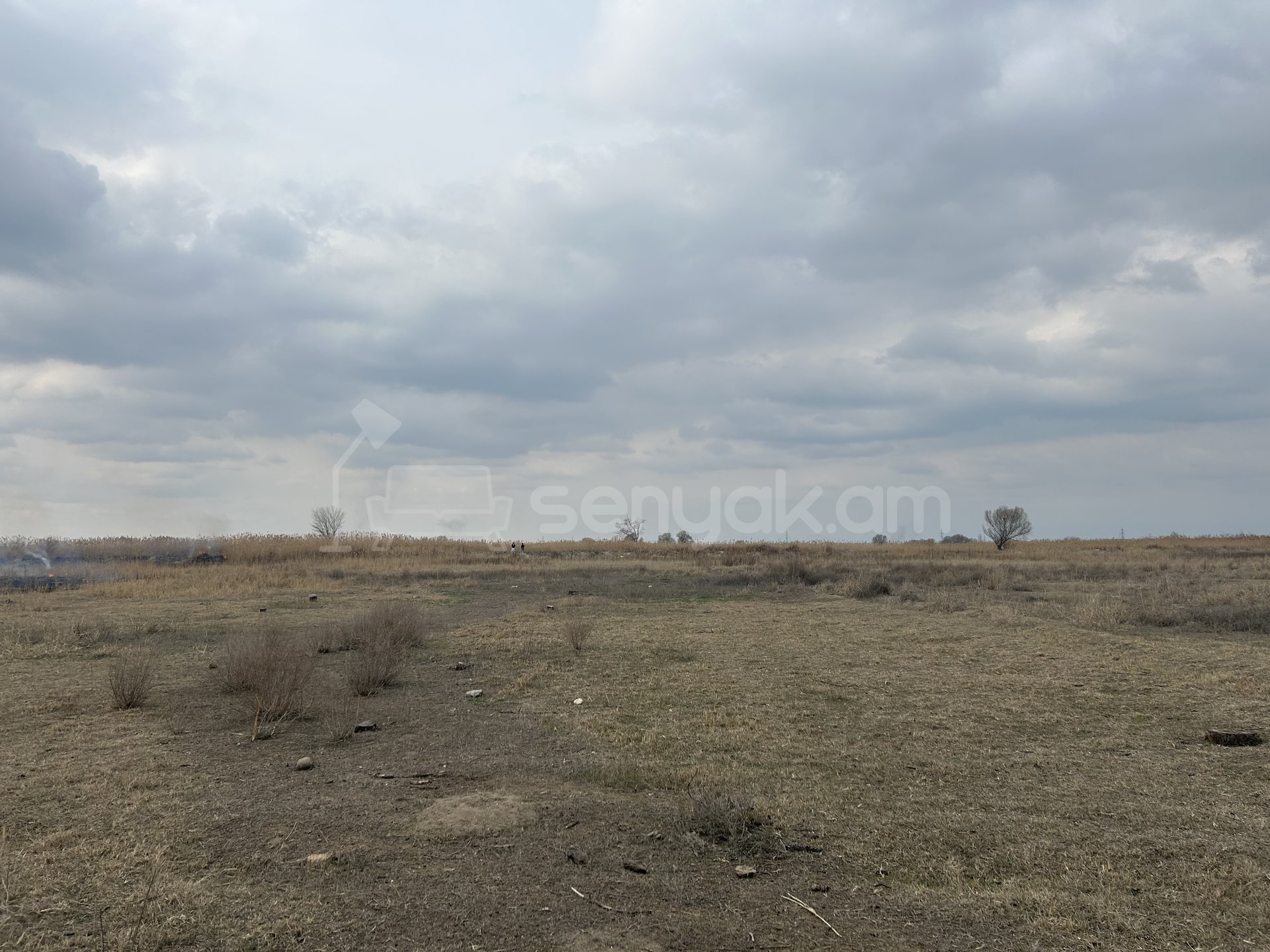 Այգի, 3700քմ, Ոռոգման Ջրով