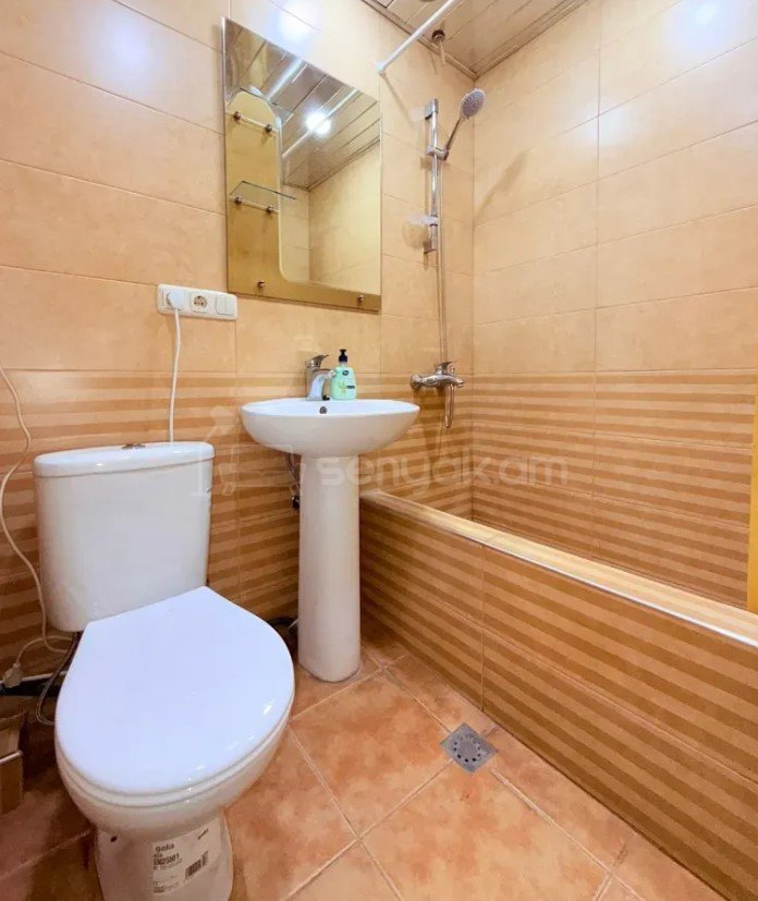 1 Սենյականոց Բնակարան Քարե Շենքում, 29քմ, 5/5 հարկ, Կապիտալ Վերանորոգված