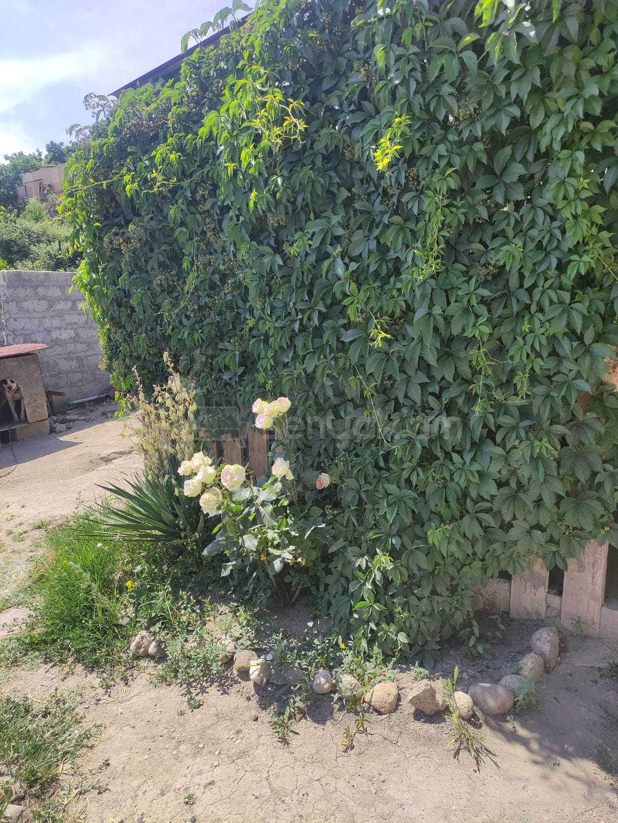 2 Սենյականոց Սեփական Տուն, 68քմ, Նորմալ Վիճակում