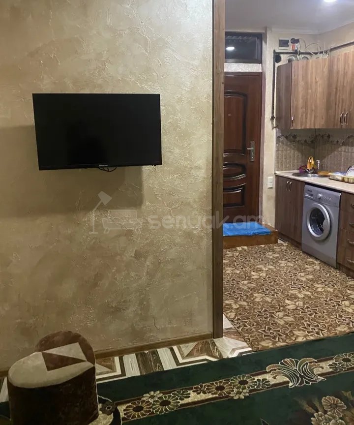 1 Սենյականոց Բնակարան Քարե Շենքում, 32քմ, 1/1 հարկ, Կապիտալ Վերանորոգված, Կահավորված