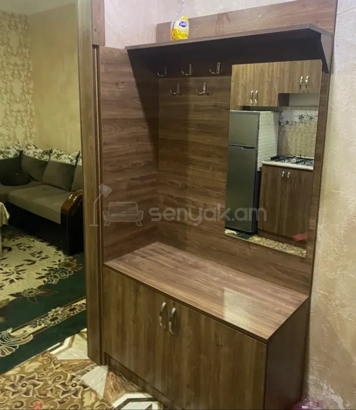1 Սենյականոց Բնակարան Քարե Շենքում, 32քմ, 1/1 հարկ, Կապիտալ Վերանորոգված, Կահավորված